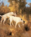 Terriers On The Scent Arthur Wardle dog